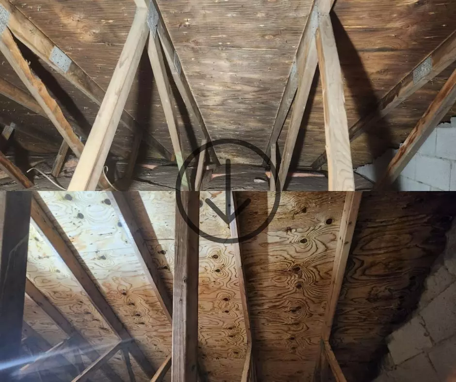 Technicien en décontamination équipé dans un logement résidentiel  à Châteauguay